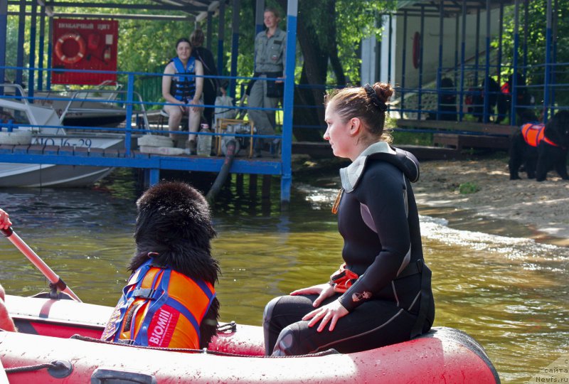 Фотография № 228276