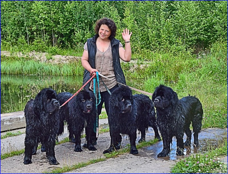 Фотография № 228293