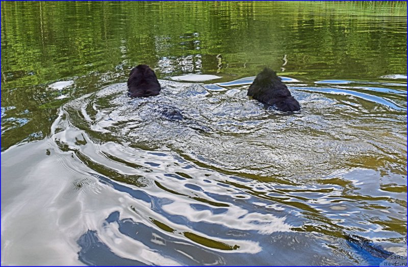 Фотография № 228295