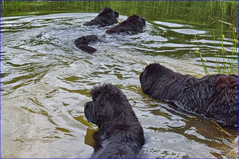 Фотография № 228296