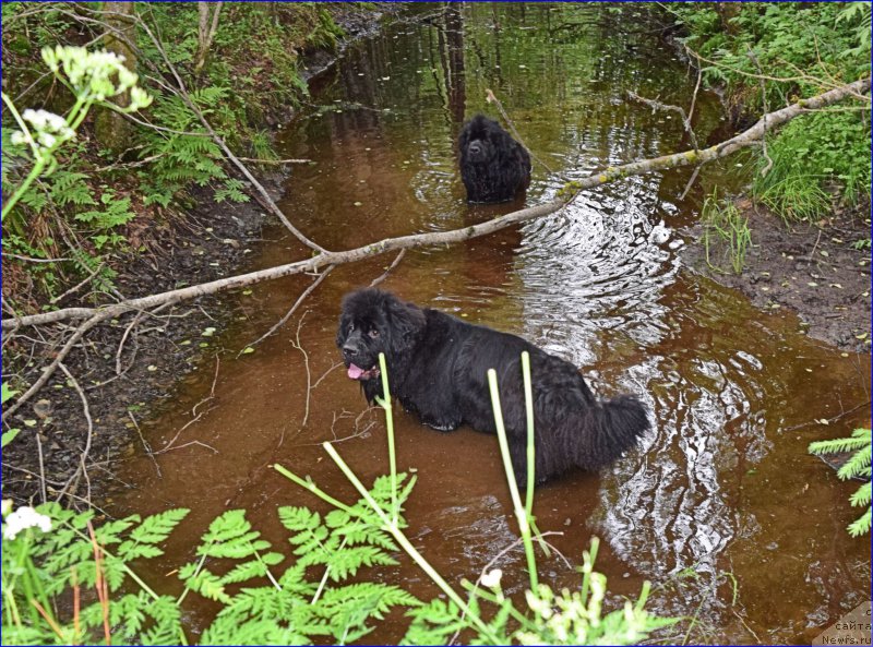 Фотография № 228302