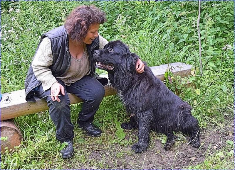 Фотография № 228307