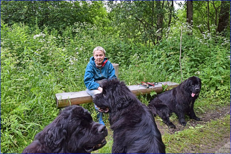 Фотография № 228308