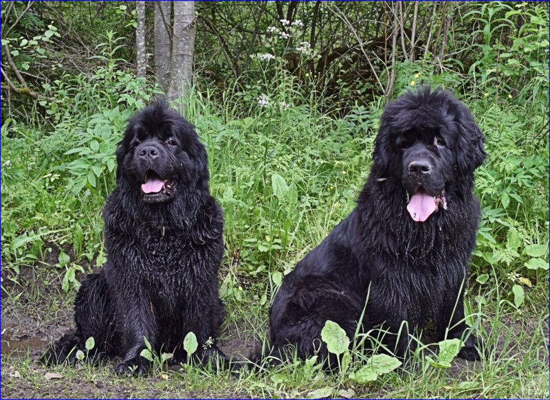 Фотография № 228314