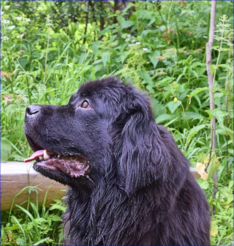 Фотография № 228316