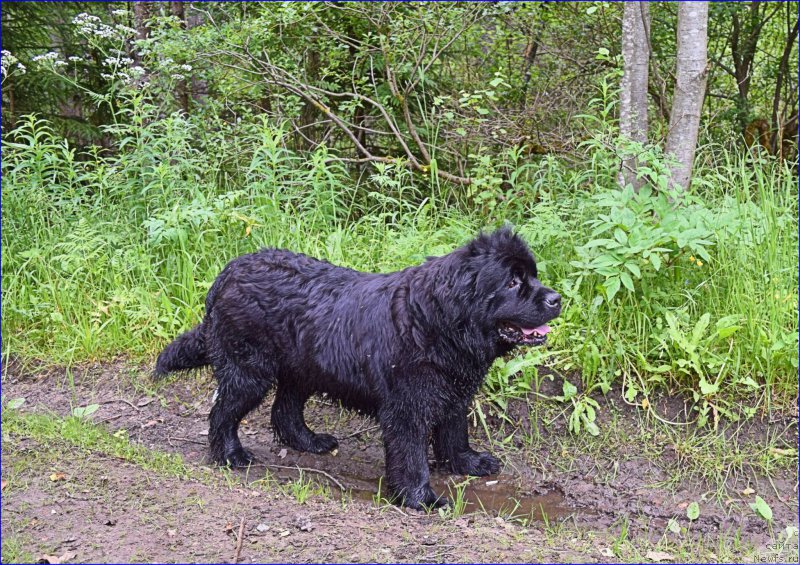 Фотография № 228317