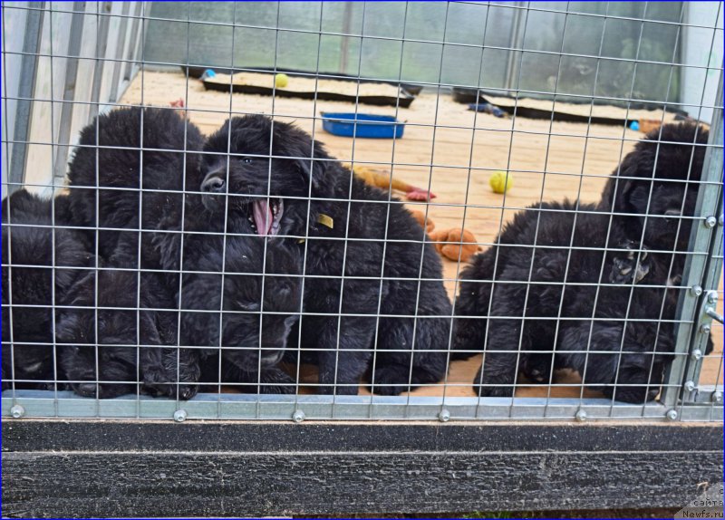 Фотография № 228320