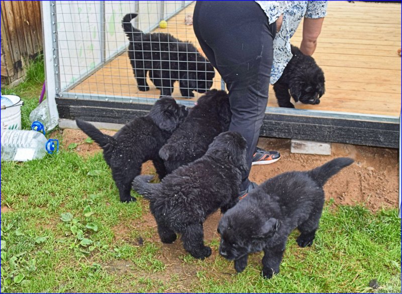 Фотография № 228321