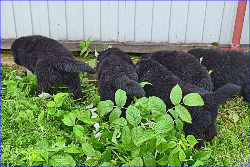 Фотография № 228323