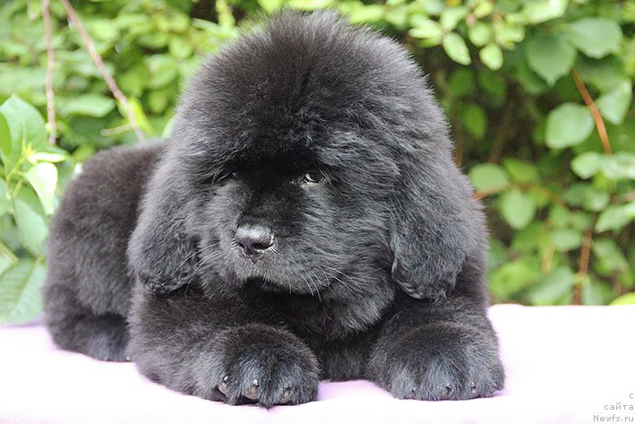 Фотография № 228332