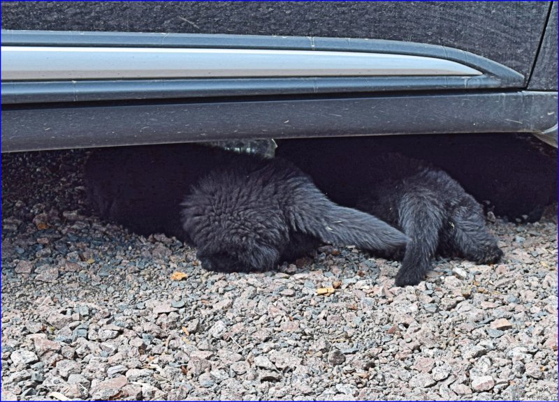 Фотография № 228333