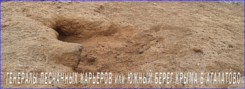 Фотография № 228339