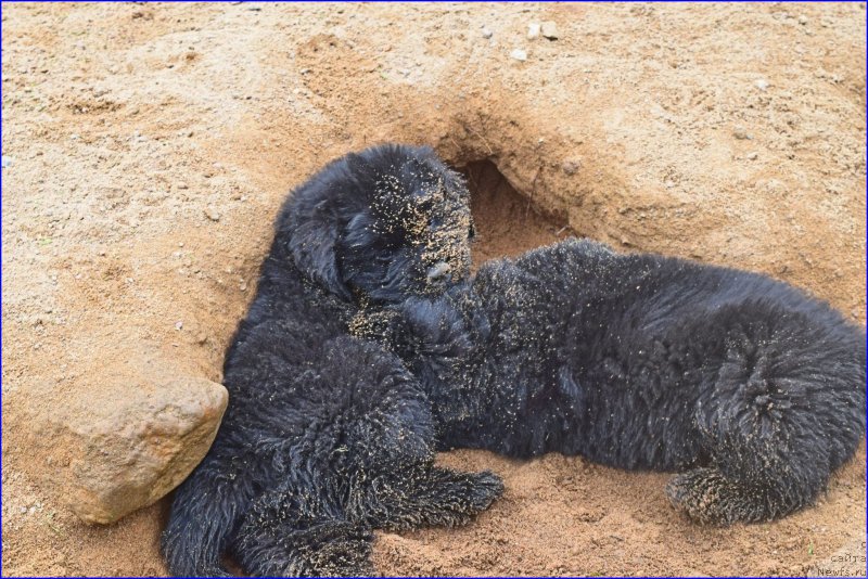 Фотография № 228343