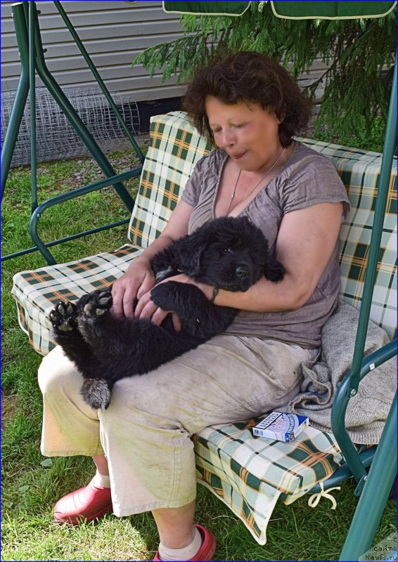 Фотография № 228346