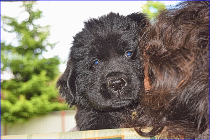 Фотография № 228349