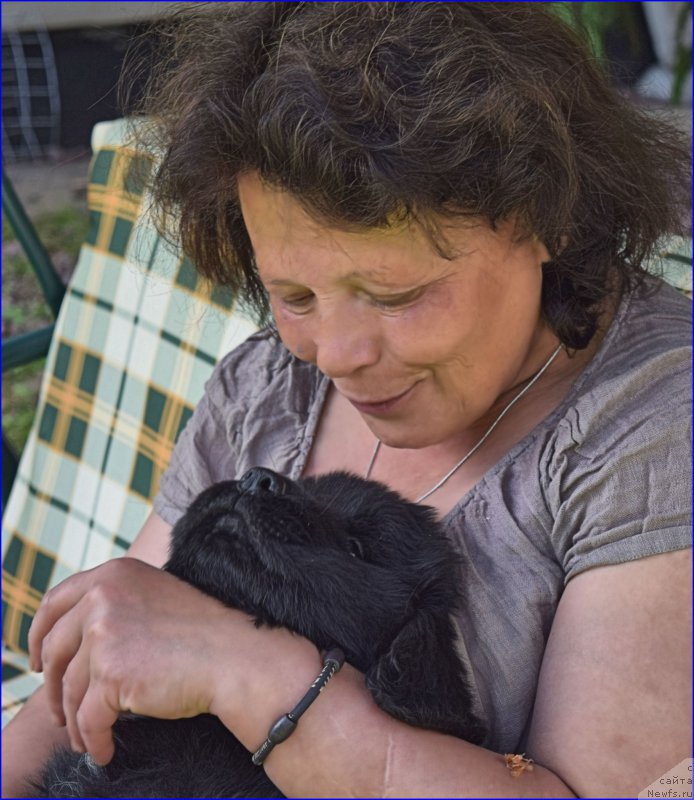 Фотография № 228350