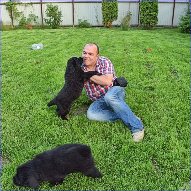 Фотография № 228352