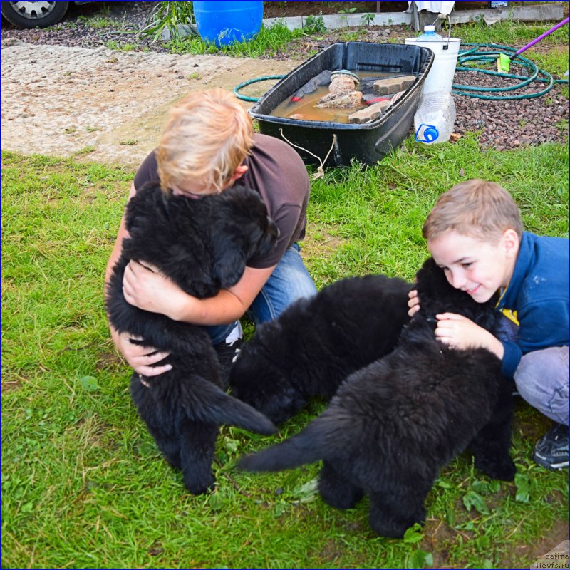 Фотография № 228353