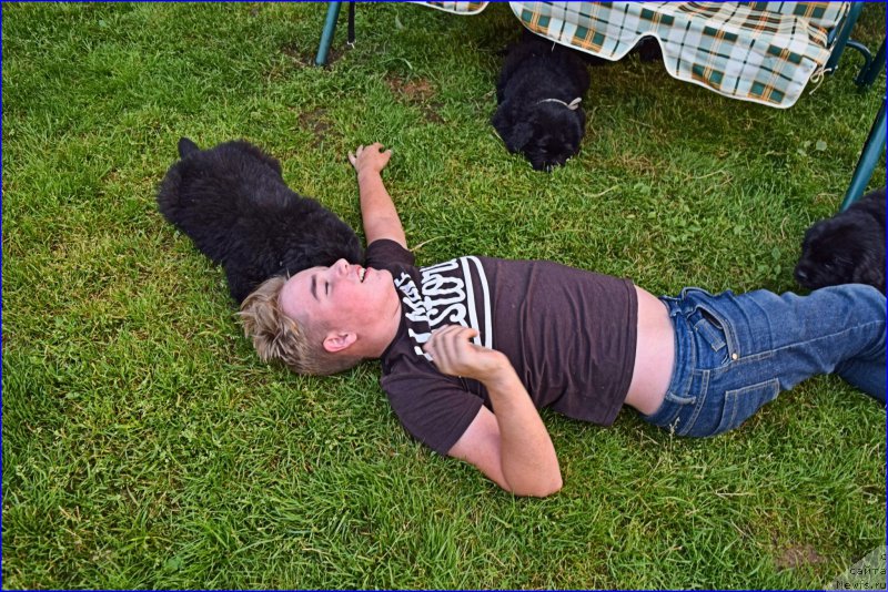 Фотография № 228354