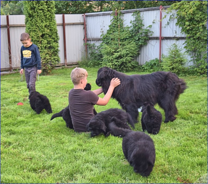 Фотография № 228356