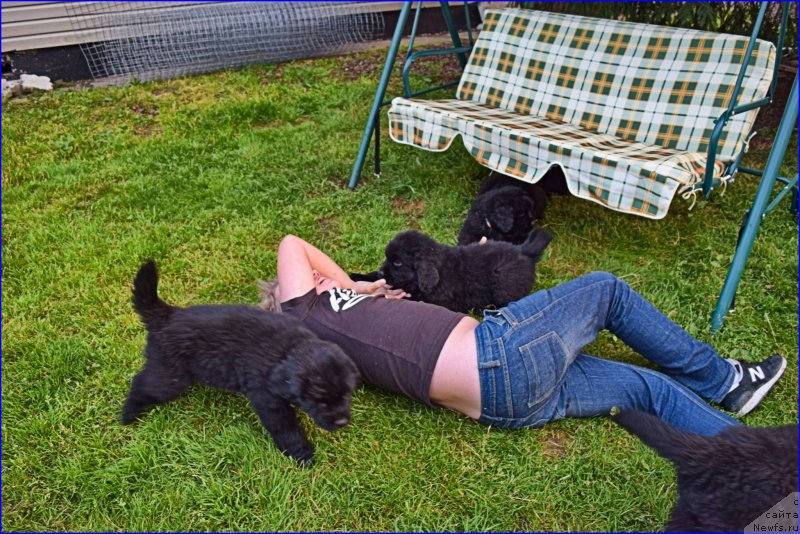 Фотография № 228359