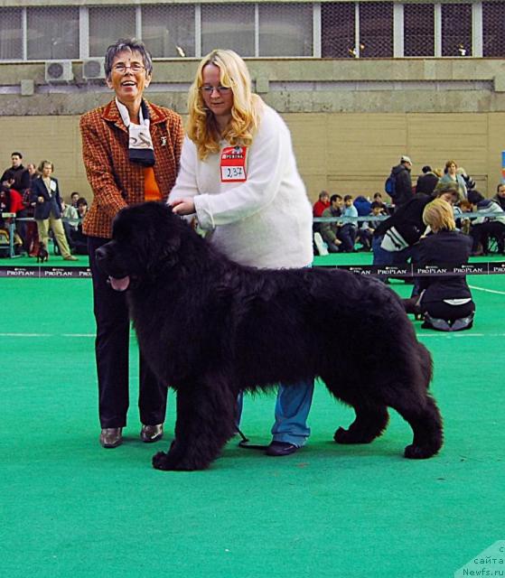 Фотография № 22836