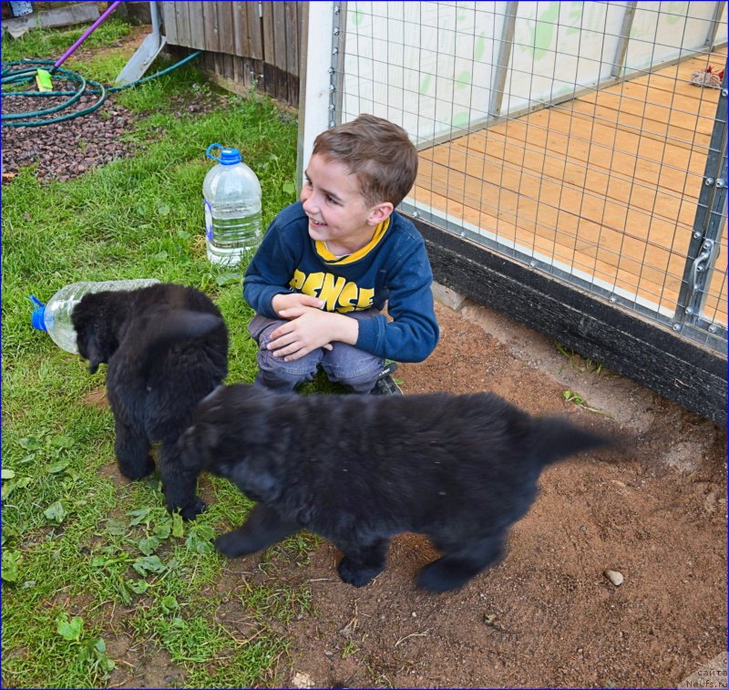 Фотография № 228360