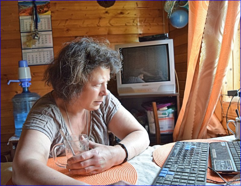 Фотография № 228361