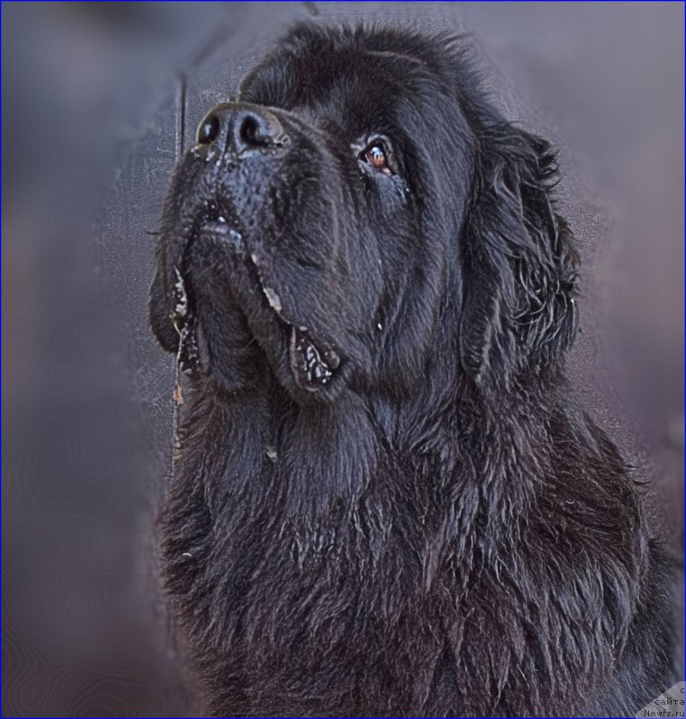 Фотография № 228363