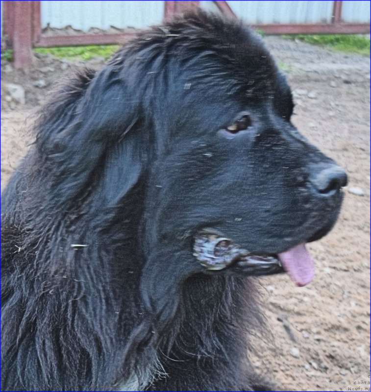 Фотография № 228364