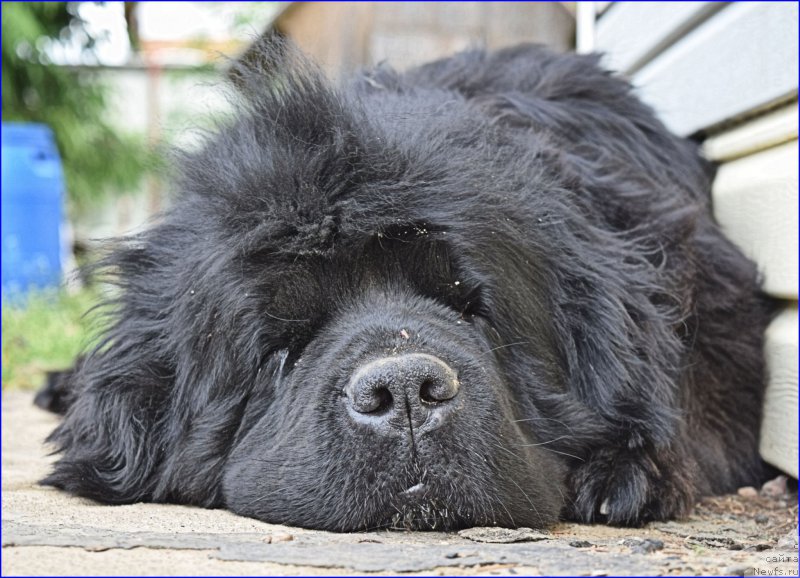 Фотография № 228365