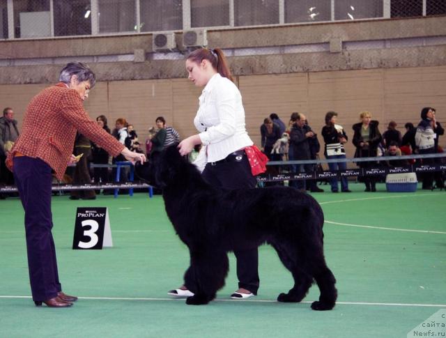 Фотография № 22837