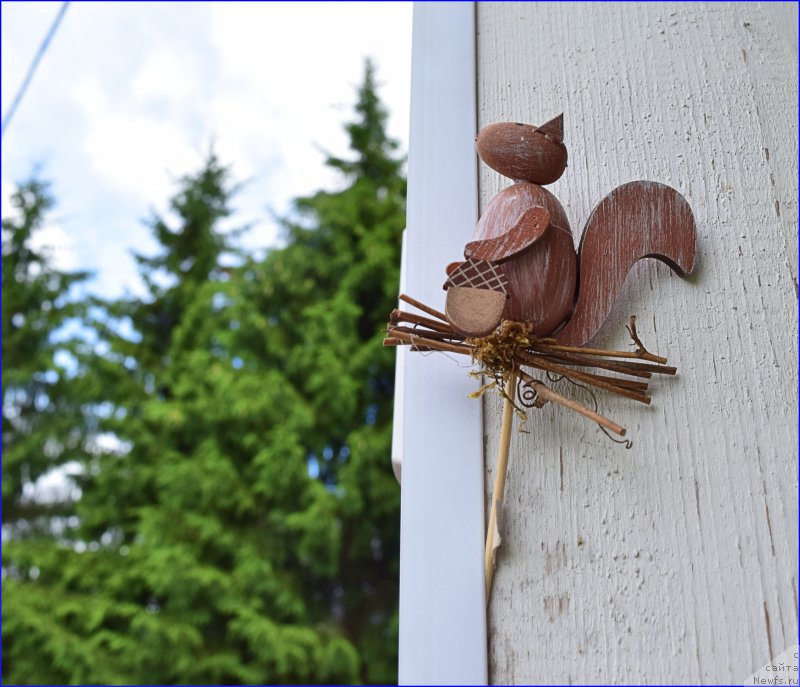 Фотография № 228371