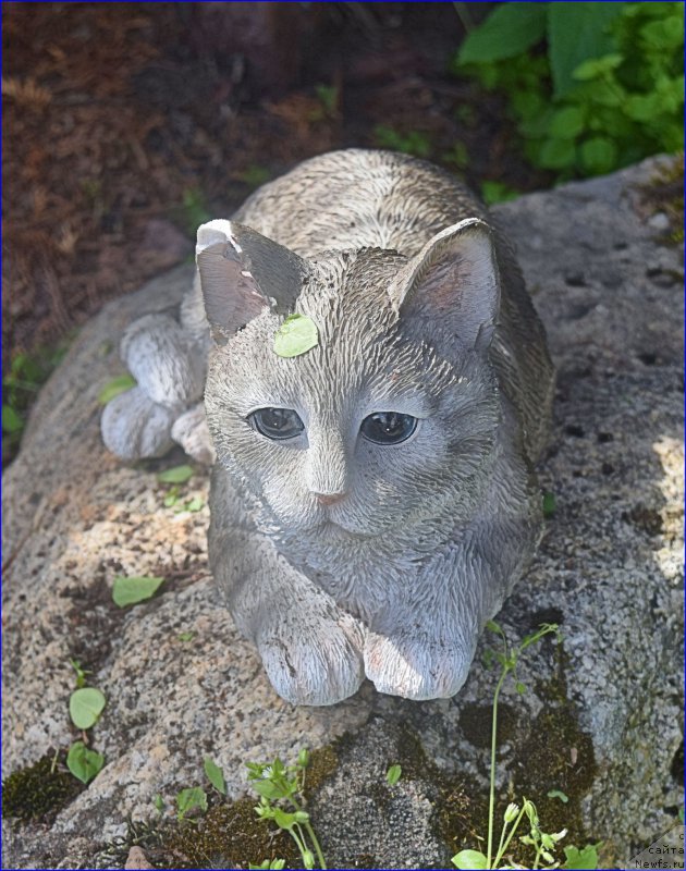 Фото: Анна Ковалёва, КИСА