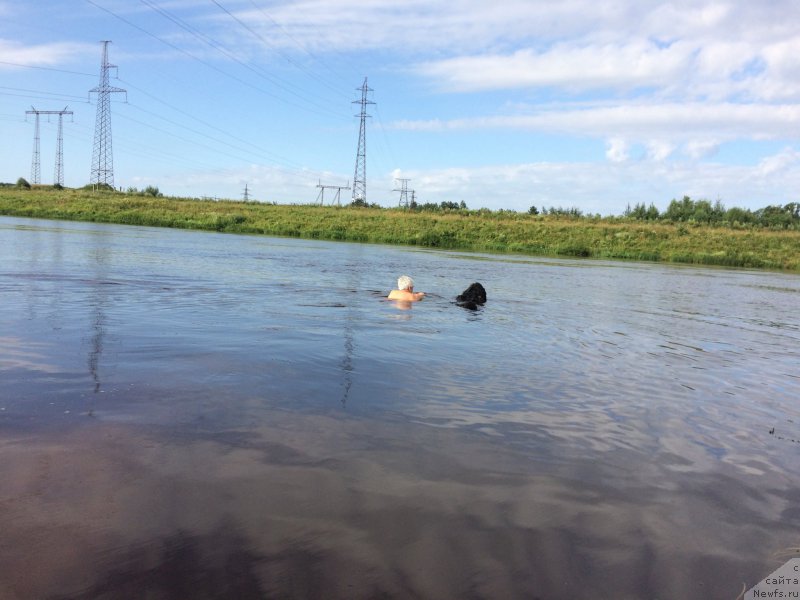 Фотография № 228377