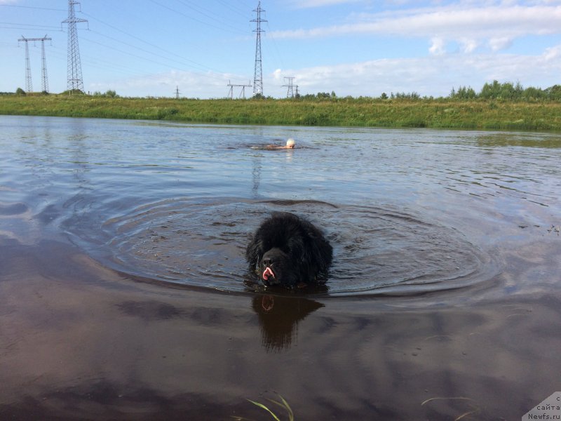 Фотография № 228378