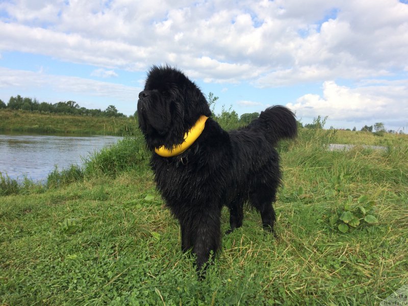 Фотография № 228382