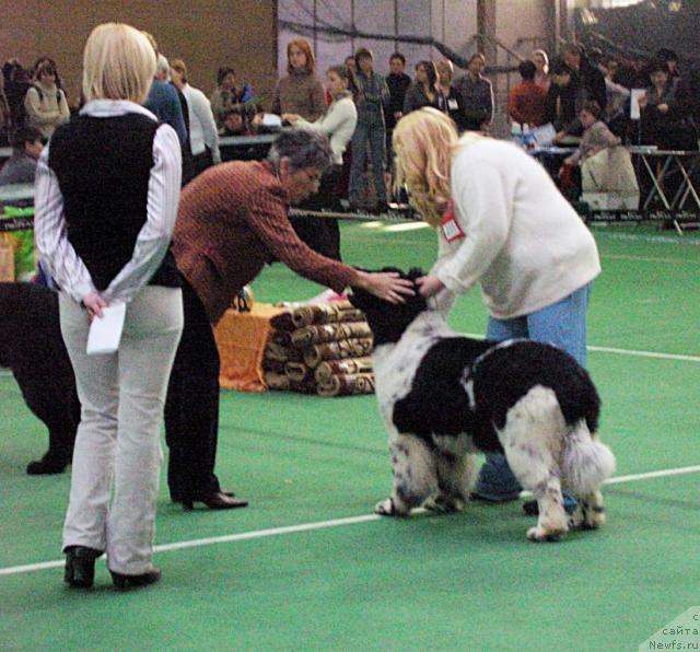 Фотография № 22840