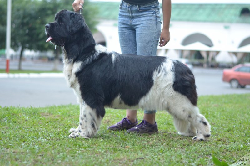 Фотография № 228413