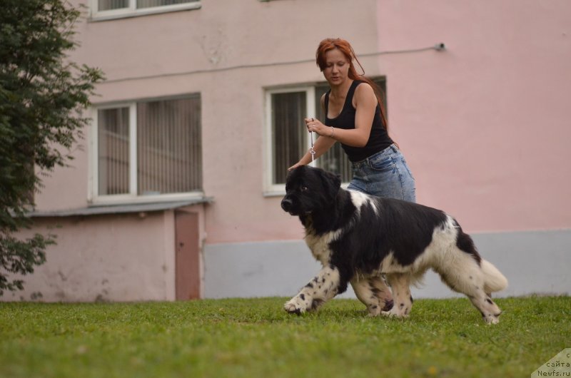 Фотография № 228417