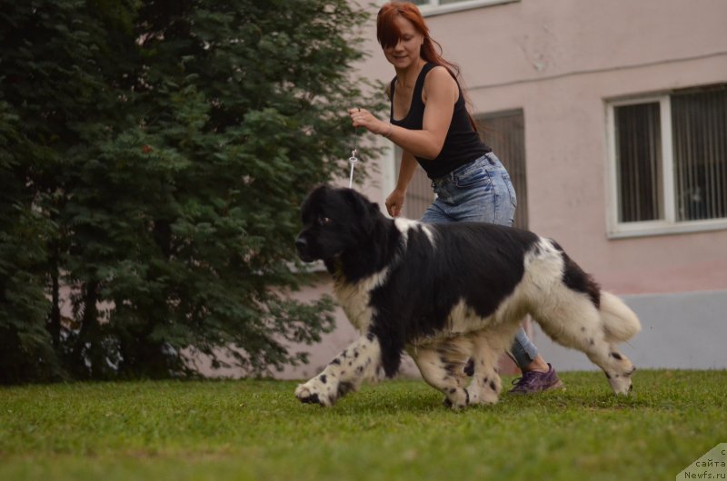 Фотография № 228418