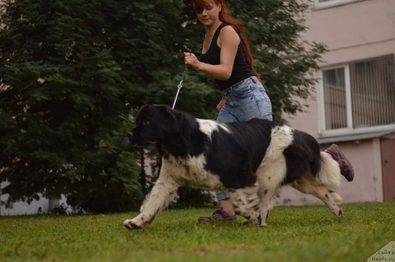 Фотография № 228419