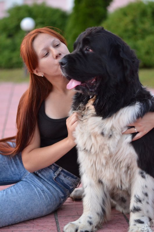 Фотография № 228420