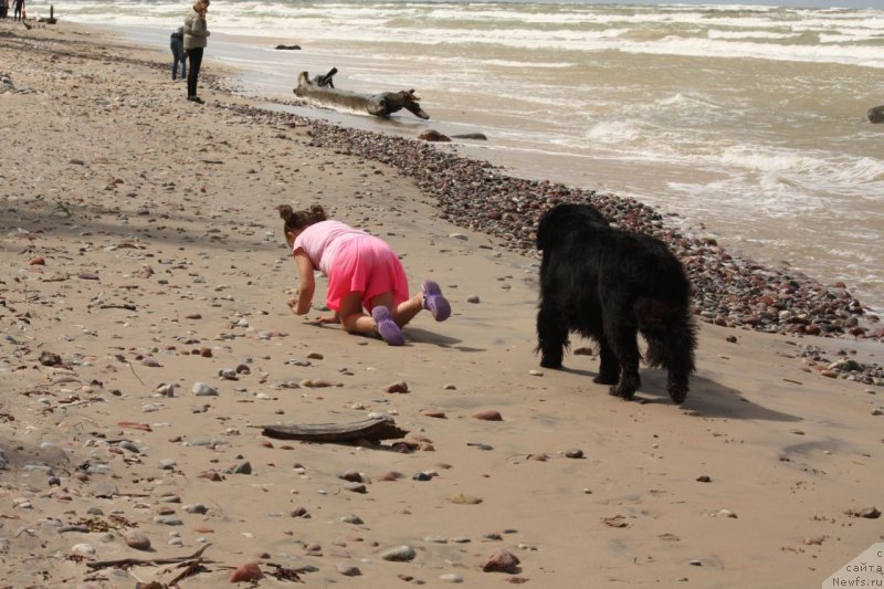 Фотография № 228423