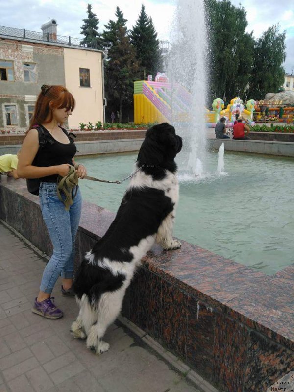 Фотография № 228425