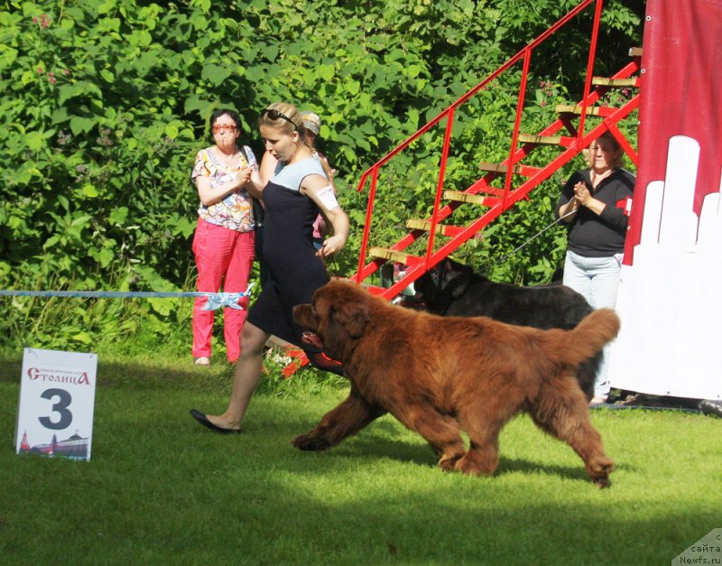 Фотография № 228436