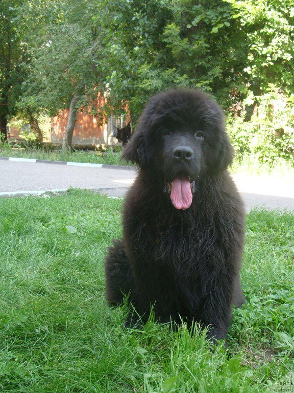 Фото: [d9121]   сынок 4 месяца...