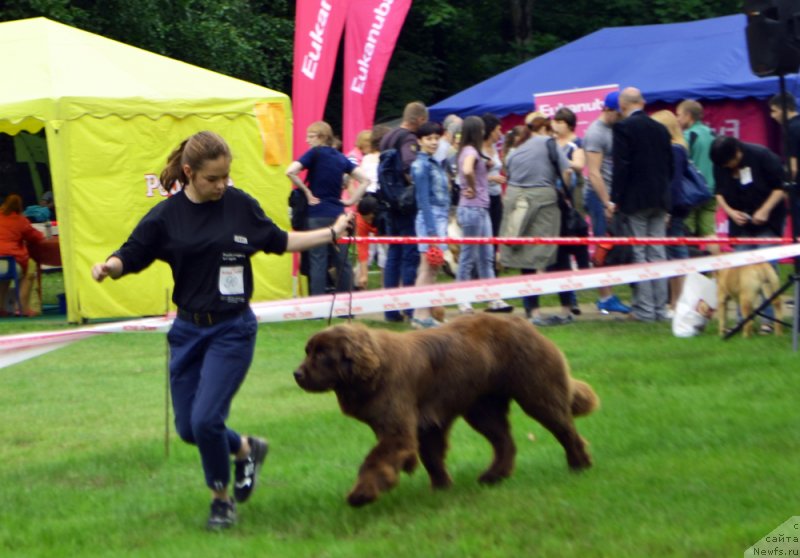 Фотография № 228445