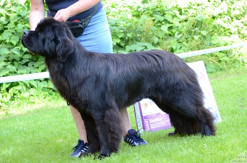 Фотография № 228453