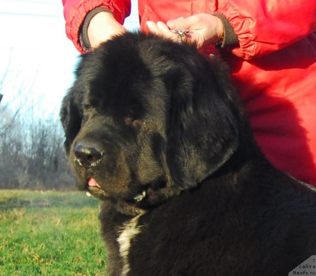 Фотография № 22848